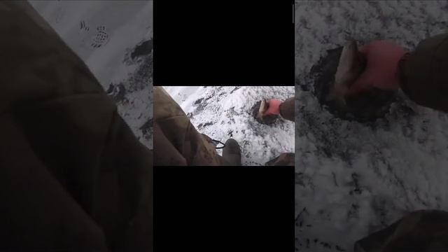 Ребятушки Началось! ЖОР Щуки! урааа смотреть онлайн