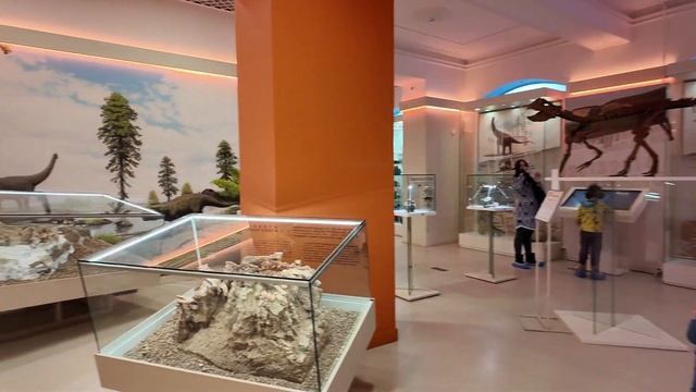 Сходили с семьей в краеведческий музей в #кемерово смотреть онлайн