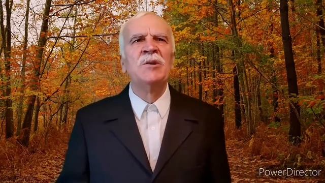 Театр Движение г.Магнитогорск Владимир Смилик смотреть онлайн