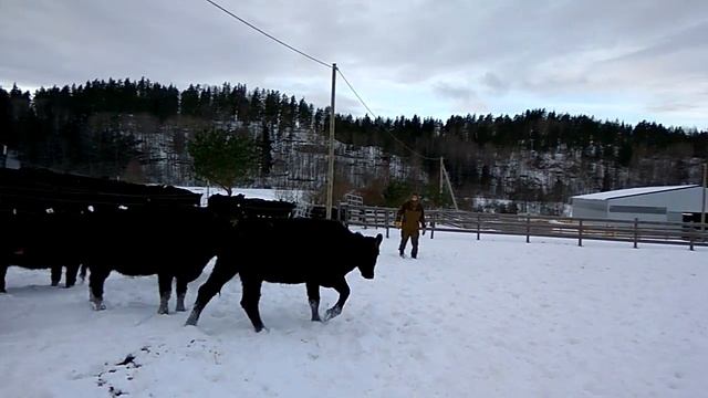 Вакцинация декабрь смотреть онлайн