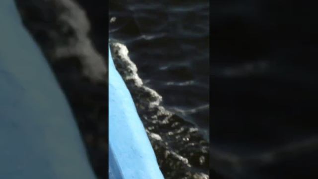 Речная прогулка по реке Вологда (часть 6) Полное видео на канале. подписывайтесь! смотреть онлайн