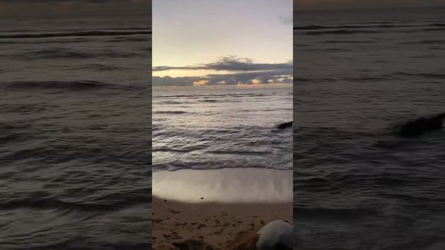 Guess Who’s Sleeping On The Beach?!?!