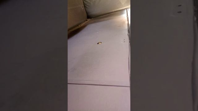 Поездка на троллейбусе МАЗ-103Т смотреть онлайн