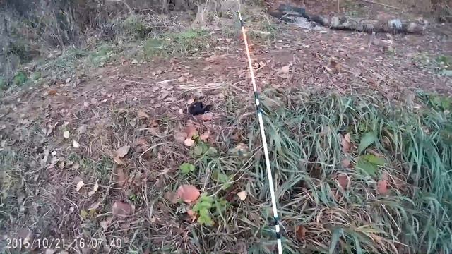 Копия видео "рыбалка в последний раз в этот год" смотреть онлайн