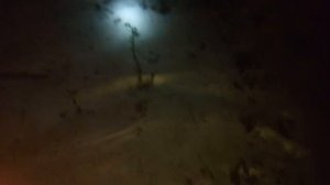 ОБЗОР Ловля раков руками ночью с фонарем