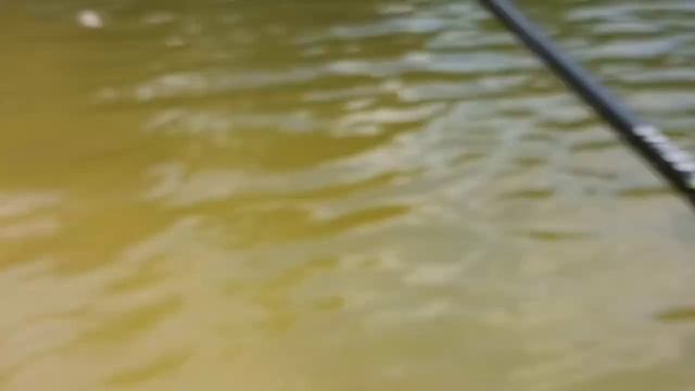 BERKELEY POWER BAIT NESSIE REVIEW #fishing #berkleyfishing