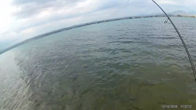 Τυχερό λαβράκι смотреть онлайн