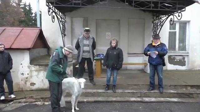 Видео сюжет 