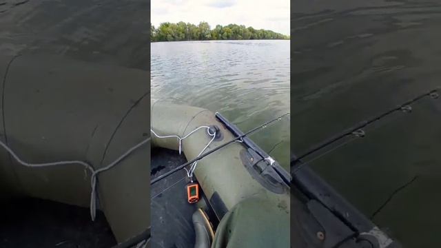 рыбалка для души Сом на квок смотреть онлайн