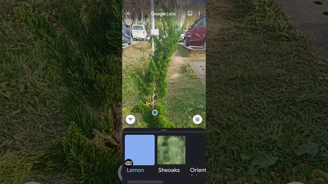 Modern Marvel (Smartphone)|| Google Lens: Best Tool for online search engine. смотреть онлайн