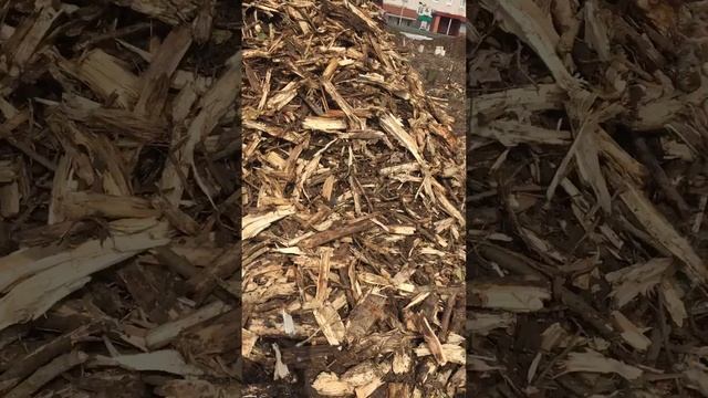 Измельчитель Дробилка смотреть онлайн