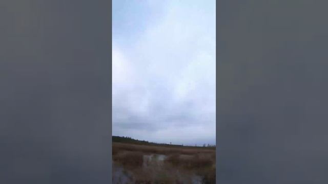 Лучшие Моменты На Охоте! Impala плюс турецкий полуавтомат смотреть онлайн