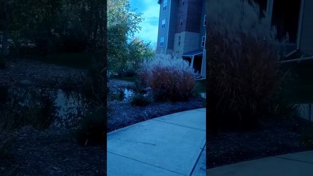 Waterford at Fitchburg pond, Bentley view. смотреть онлайн