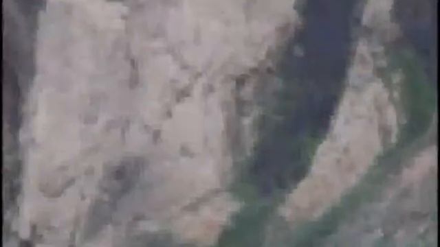 джексон кандогар 3