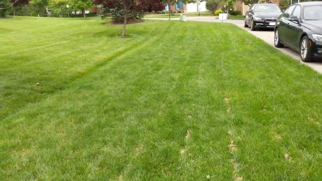 Садовод неудачник делает успехи в борьбе с сорняками