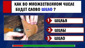 ОДНО - ШИЛО, А КОГДА ИХ МНОГО - 🤷 КАК СКАЗАТЬ ? Тест на эрудицию