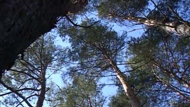 Продление противопожарного режима смотреть онлайн