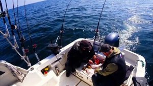 Рыбалка на Балтике , лосось.