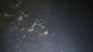 Неделя #37.  Обследование. Приёмная камера насосов.