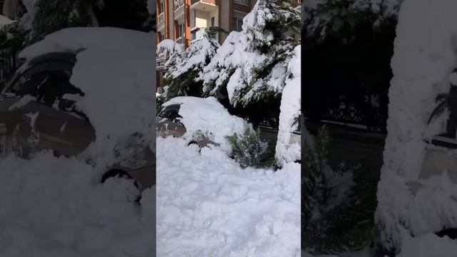 Настоящая зима в Стамбуле. Вьюга закончилась, остались сугробы