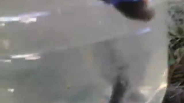 Влог✨ Рыбалка с дедушкой смотреть онлайн