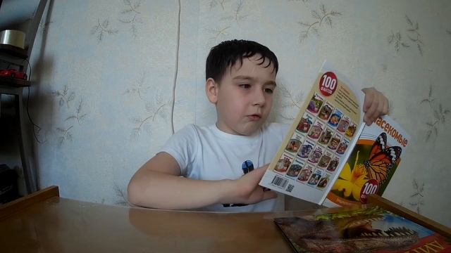 Интересные книги динозавры и насекомые смотреть онлайн