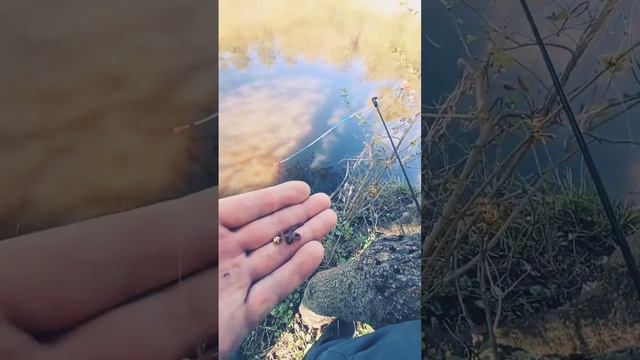 рыбалка на мормышку и боковой кивок смотреть онлайн