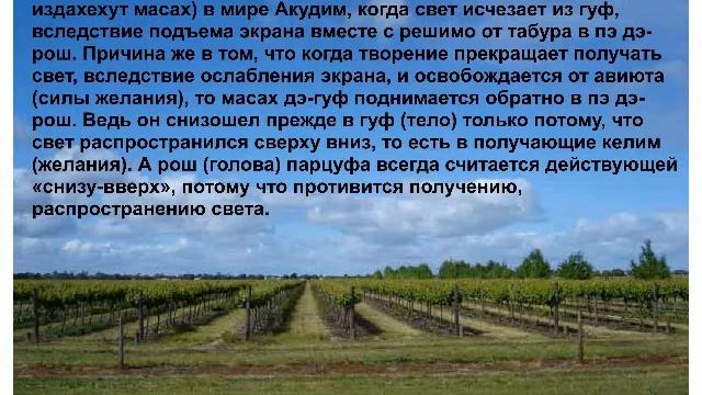 Shamati ШАМАТИ 81. Подъем МАН