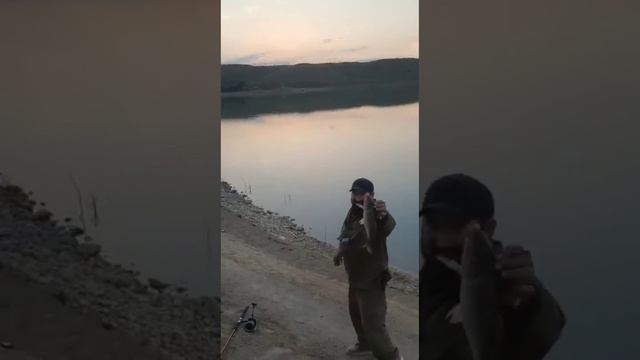 @рыбалка даг304 сазан на кукурузу!