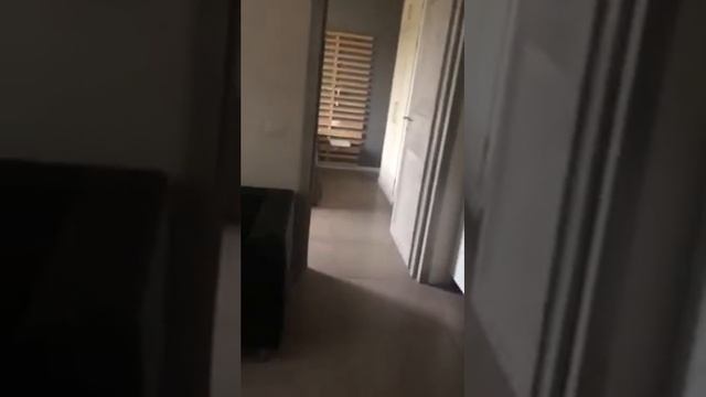 Firenze, Isolotto, Ampio Bilocale Ristrutturato E Arredato