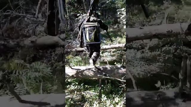 19е мая 2019 в лесу