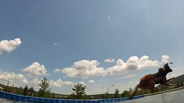 Kightlinger Motors Dock Dogs in Coudersport, PA смотреть онлайн