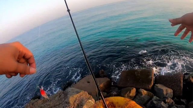 light set up stradic 2500 daiwa 3-14g siglon 10lb yozuri 15lb смотреть онлайн