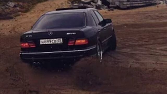 Пурпурный брабус , Brabus