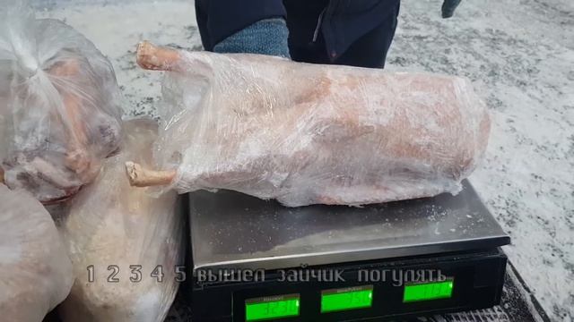 Казань Агропромышленный парк Казлар гуси смотреть онлайн