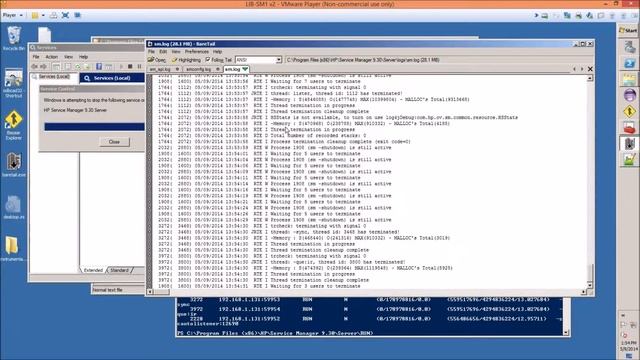 Install Smart Plugin and Monitor HP Service Manager in 10 Minutes смотреть онлайн