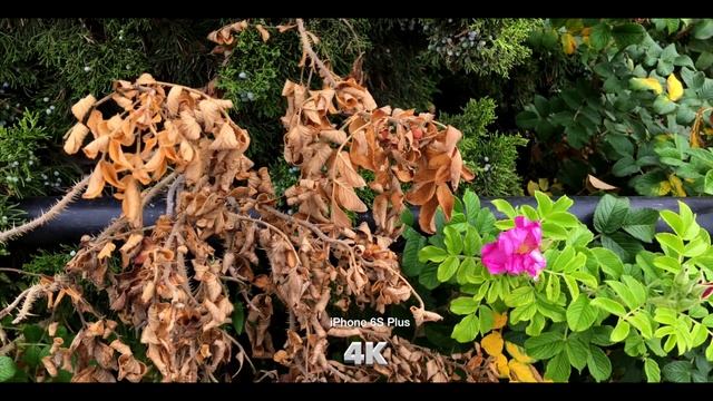 Барт Дедов:Америка,как есть! iPhone 6S Plus Ажиотаж,вокруг,да около! Тест 2часть смотреть онлайн