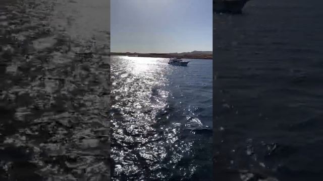 Яхта «Русалка» в Шарм эль Шейх