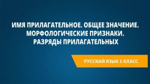 Урок 15. Имя прилагательное. Общее значение. Морфологические признаки. Разряды прилагательных