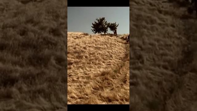 Нагорная проповедь Иисуса Христа: «Берегитесь лжепророков» / «По плодам их узнаете их» / Библия смотреть онлайн