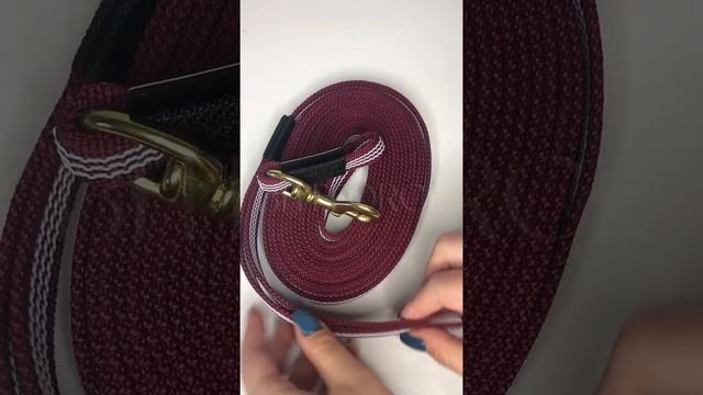 Бордовый поводок 5 метров с большим карабином