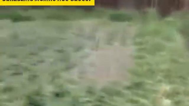 Удобрения в москве смотреть онлайн