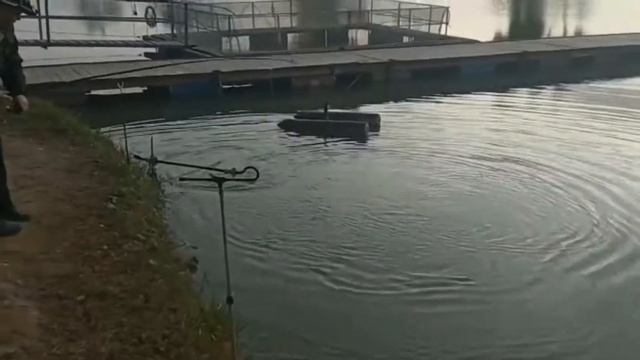 Утренние поимки форели на пасту смотреть онлайн