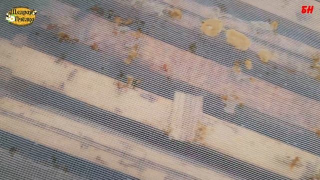 пчеловодство, объединение семей поздней осенью, всё не плохо зимуем смотреть онлайн