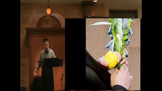 Кармен, Бизе, ария Хозе - Пурим 2011