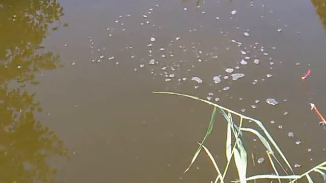 ВЗАИМНАЯ ПОДПИСКА 2017.