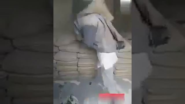 Девушка грузчик - Vine Video смотреть онлайн