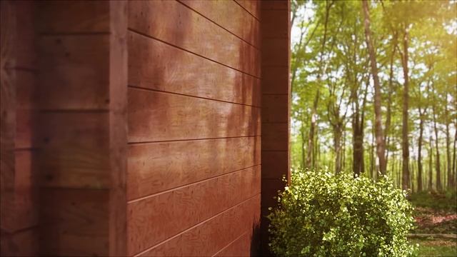 Tikkurila Valtti Pro - новинка сезона 2017!