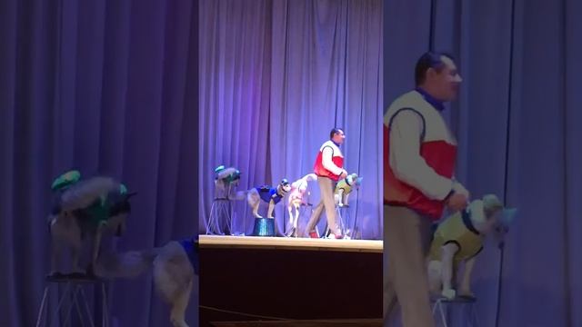Цирк 2016 (8) смотреть онлайн