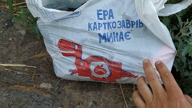 Чистота на природе смотреть онлайн